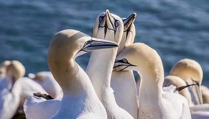 kaiyun-球员日常：明星明星的私密生活曝光，明星的隐私都包括哪些方面