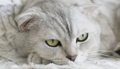 kaiyun-球员日常：明星明星的私密生活曝光，明星的隐私都包括哪些方面