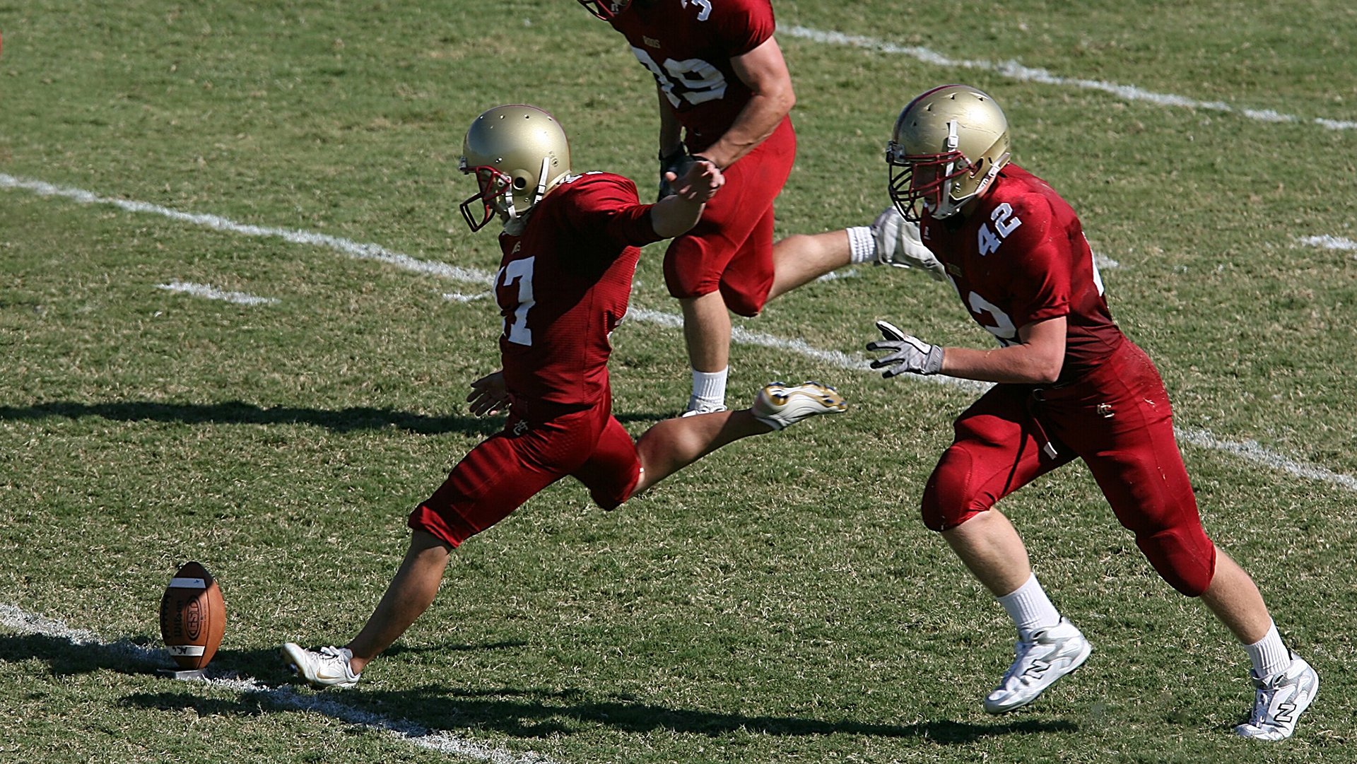 _湿地赛场:别样风景中的激烈角逐_,2020湿地主题绘画大赛